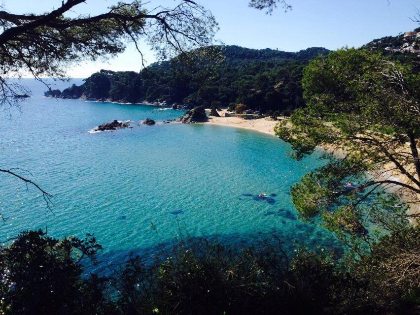 Appartements Les Pesquiers Hyeres Plage Exteriör bild