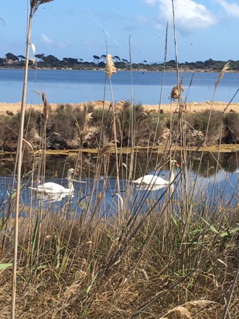 Appartements Les Pesquiers Hyeres Plage Exteriör bild